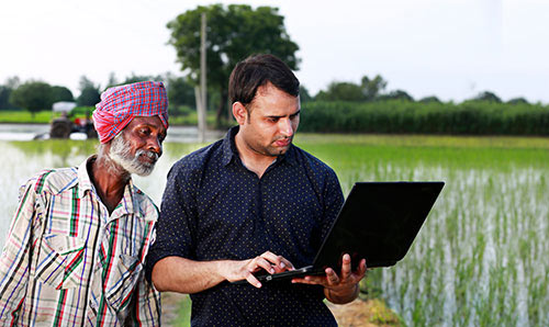 Man and woman looking at laptop in the open air