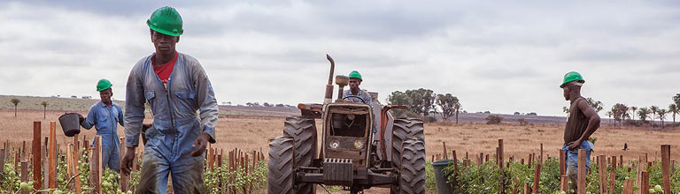 Farmers in a field with a tractor