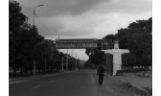 El COVID viaja por trocha