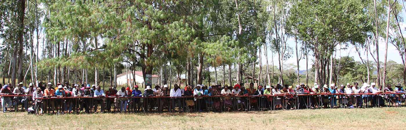 People sat at desks outside in Zimbabwe