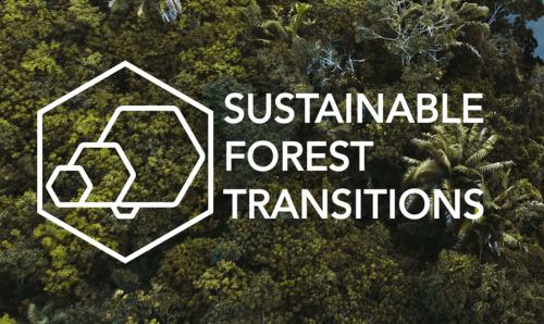 Sustainable Forest Transitions logo over an image of a forest