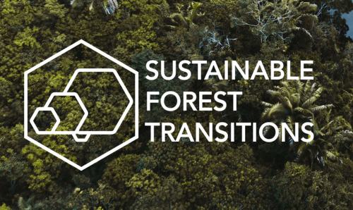 SFT logo
