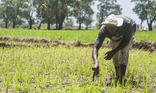 Highlighting the importance of farmer-led irrigation